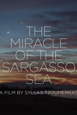 The Miracle of the Sargasso Sea (2019)